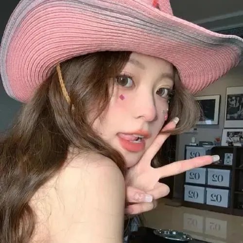 芙蓉仙子